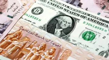 تحركات البنوك المصرية.. تطورات جديدة في سعر الدولار أمام الجنيه خلال تعاملات الثلاثاء